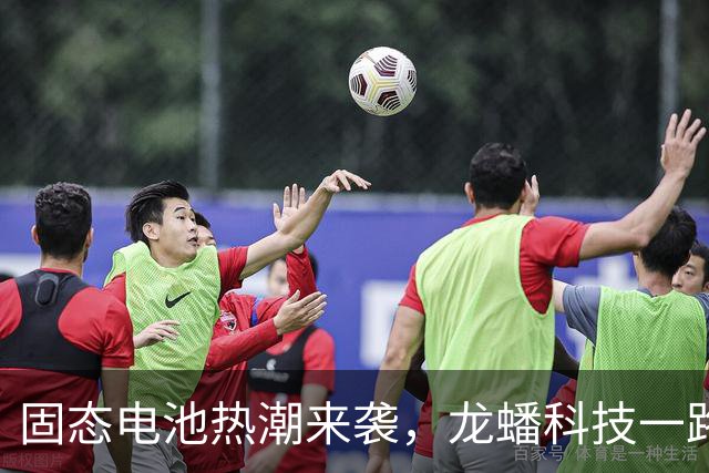 固态电池热潮来袭，龙蟠科技一路涨停！